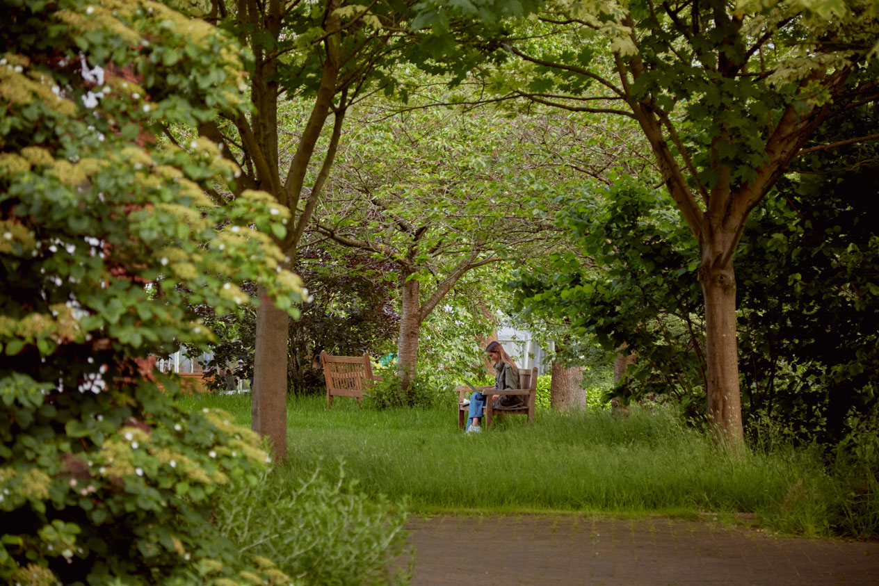 Student working on her laptop in the green park at Regents University London